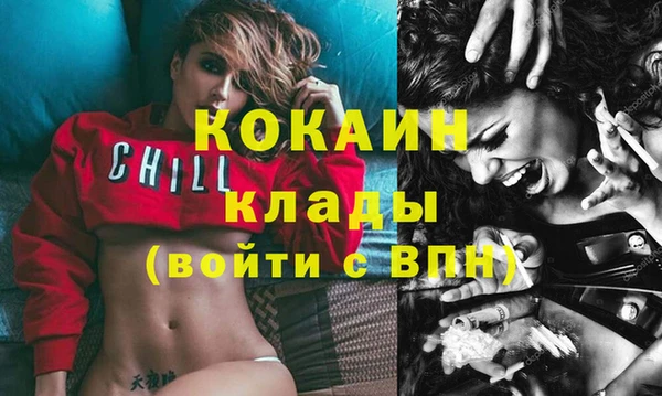 стафф Алзамай