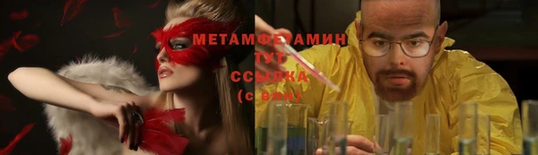 прущие грибы Абдулино