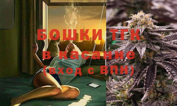 прущие грибы Абдулино