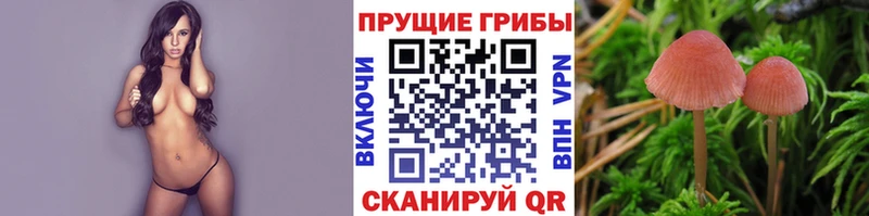 Галлюциногенные грибы GOLDEN TEACHER  цены наркотик  Энгельс 